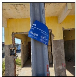 HORIZONTE – GAMELEIRA