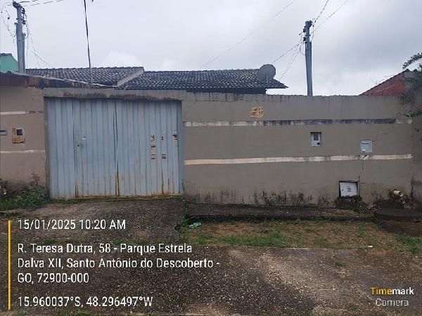 LOT PQ ESTRELA DALVA XII