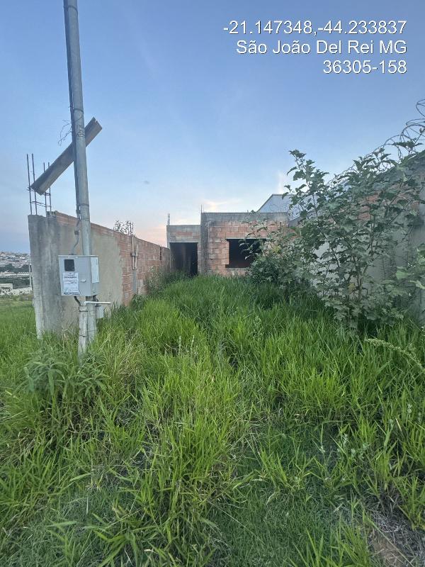 SAO JOAO DEL REI – NOVO HORIZONTE