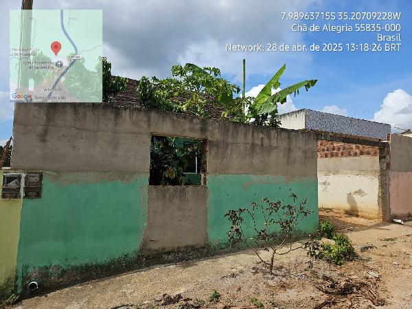 LOT CHA DE ALEGRIA III