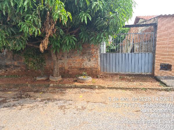 COCALZINHO DE GOIAS – EDILANDIA II