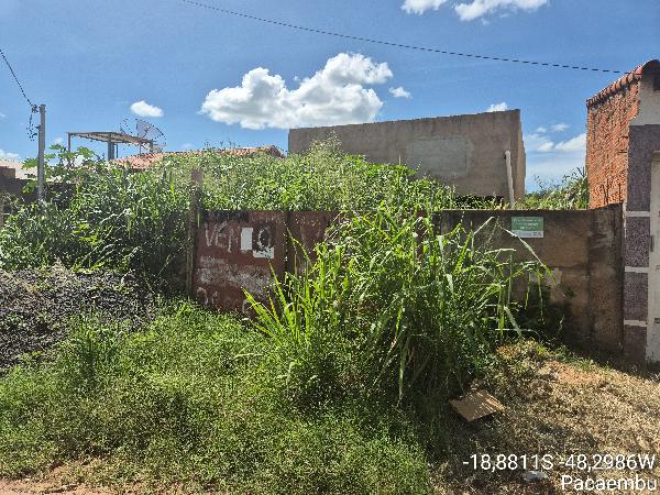 UBERLANDIA – PACAEMBU