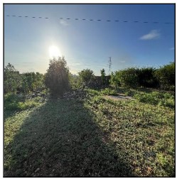 ACU – QUINTA DO FARO