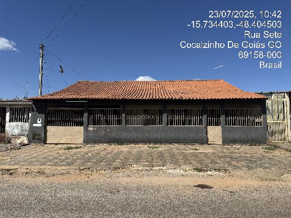 COCALZINHO DE GOIAS – GIRASSOL