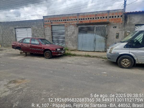 CJ HAB RES PQ VIVER PAPAGAIO