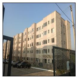 VIVA VIDA FELICIDADE