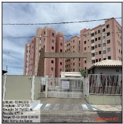 CON DOCE VIDA GIRASSOIS