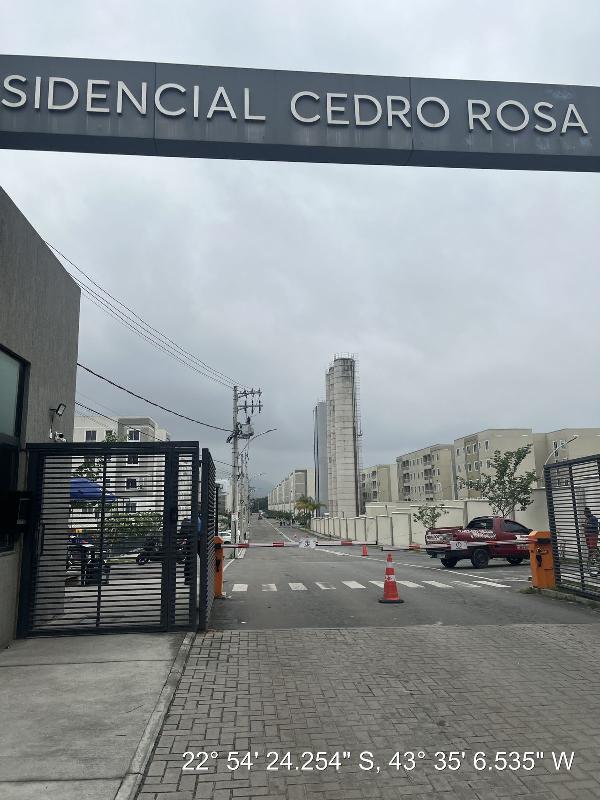 RES CEDRO ROSA