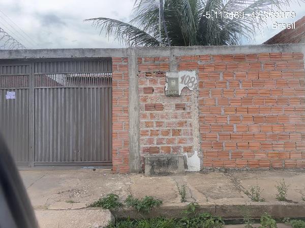 TIMON – CINTURAO VERDE