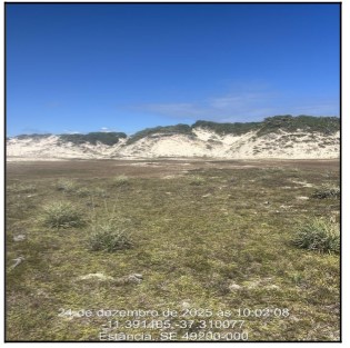 ESTANCIA – PRAIA DA BOA VIAGEM