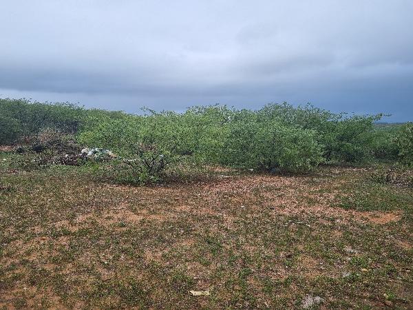 SAO VICENTE – ALTO DA CANDELÁRIA