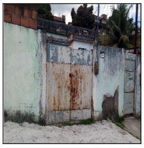 SAO GONCALO – GALO BRANCO