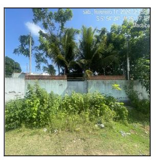 MACAIBA – BELA MACAIBA