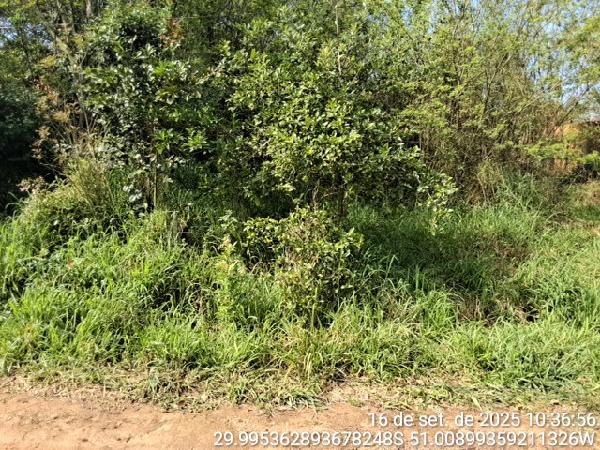 LOT SITIO ESTANCIA GRANDE