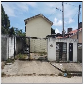 PAULISTA – PAU AMARELO