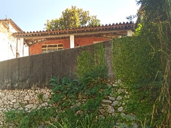 SAO GONCALO – GALO BRANCO