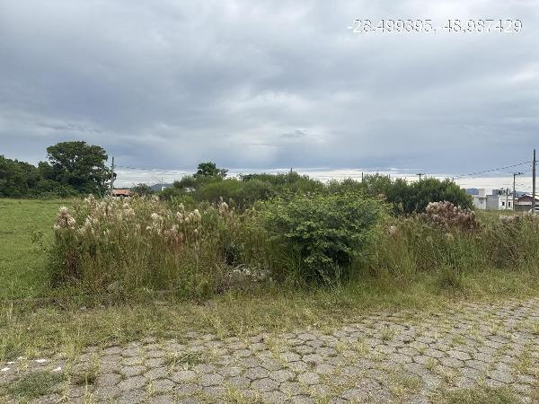 TUBARAO – PRAIA REDONDA